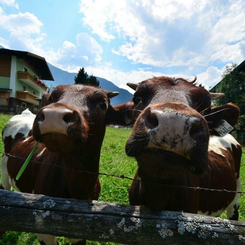 Landhaus Rieser บาดฮอฟกัสไตน์ ภายนอก รูปภาพ